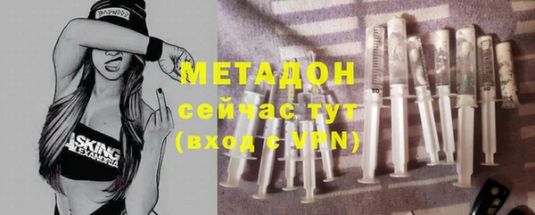 хмурый Аркадак