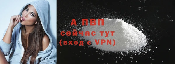 Альфа ПВП Арсеньев