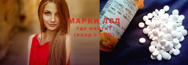 хмурый Аркадак