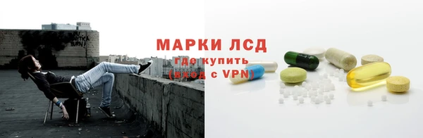 хмурый Аркадак