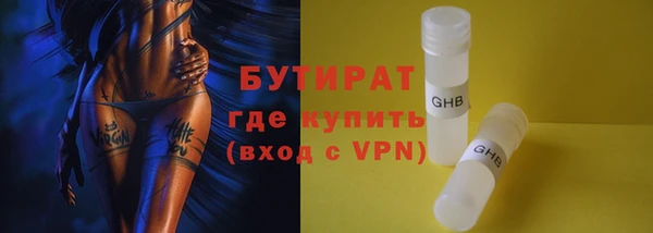 хмурый Аркадак