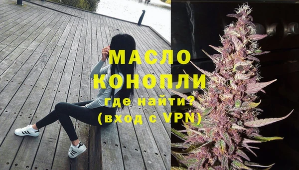хмурый Аркадак