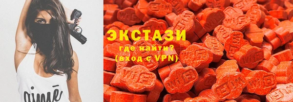хмурый Аркадак
