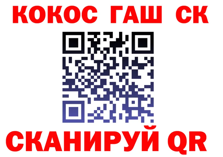 АМФ Premium tor shop hydra Стародуб
