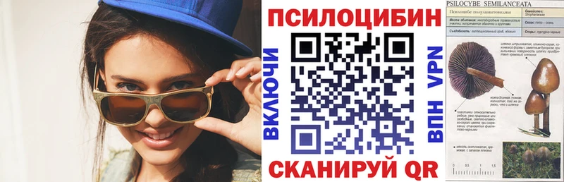 Галлюциногенные грибы ЛСД  Стародуб 